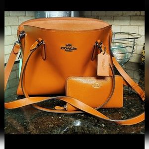 Coach Mollie purse and wallet